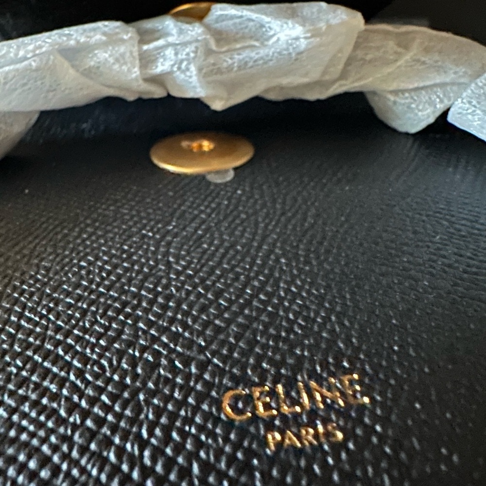 Celine Pico Belt Bag - Brand New, Never Worn - Picture 6 of 10